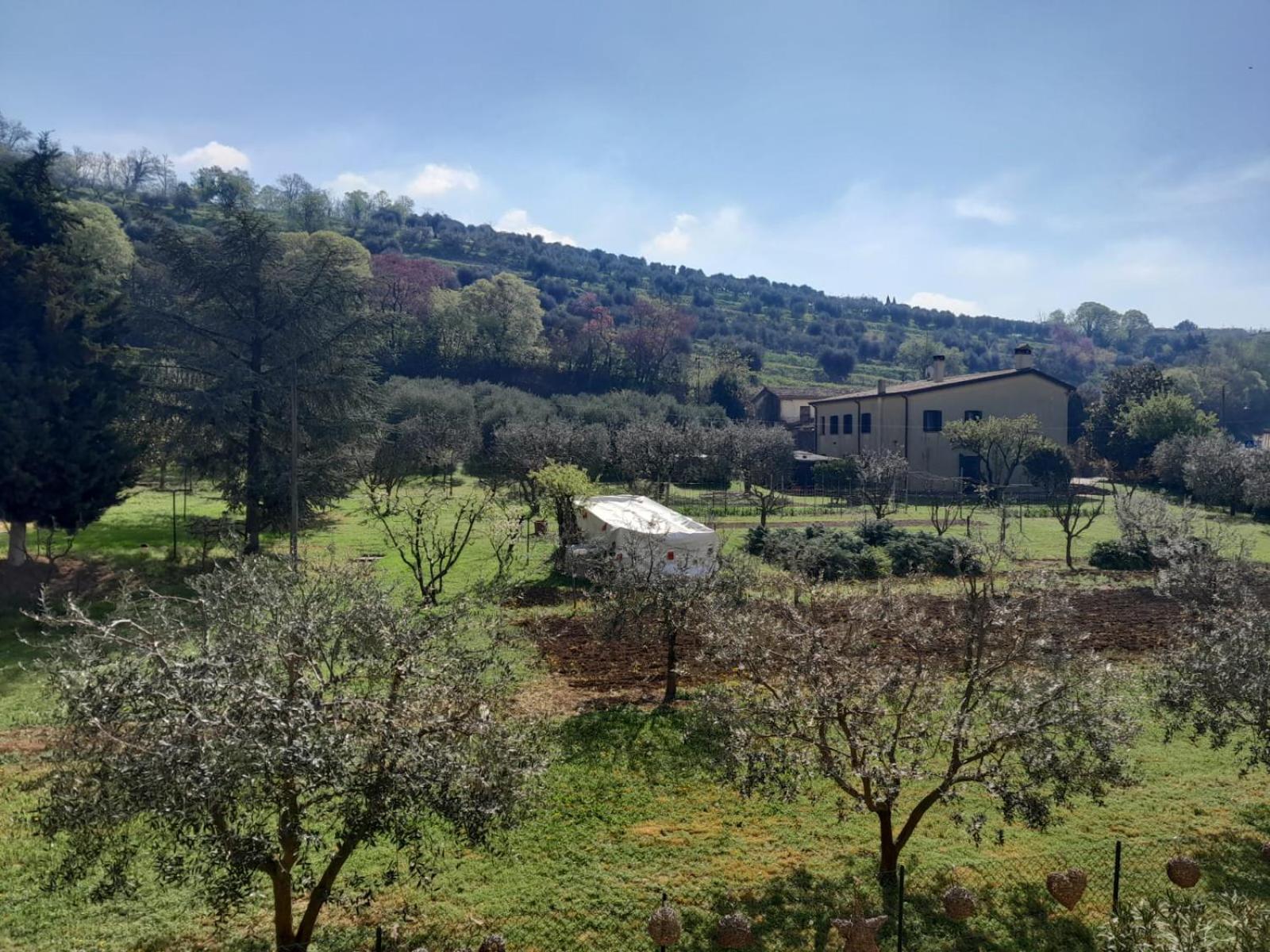 Into The Green! Flat & Garage * Arqua Petrarca